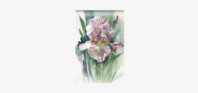 Watercolor Flower Collection - Toilet Tattoos Watercolor Iris Toilet Seat Decal Size:, transparent png #1309935