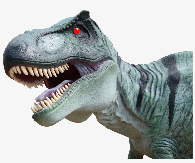 Because She Thought The Dragon Tooth Fairy Would Not - Cabeza De Dinosaurio Png, transparent png #1310087