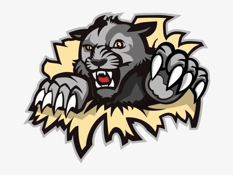 Wildcat Clipart West Shore - West Shore Wildcats Logo, transparent png #1311177