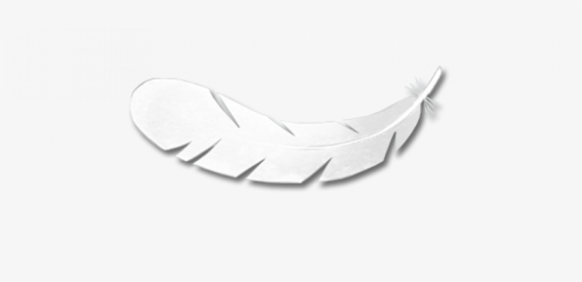 The Magical White Feather Flier Is Back On A New Adventure - Heal The Earth, transparent png #1311354