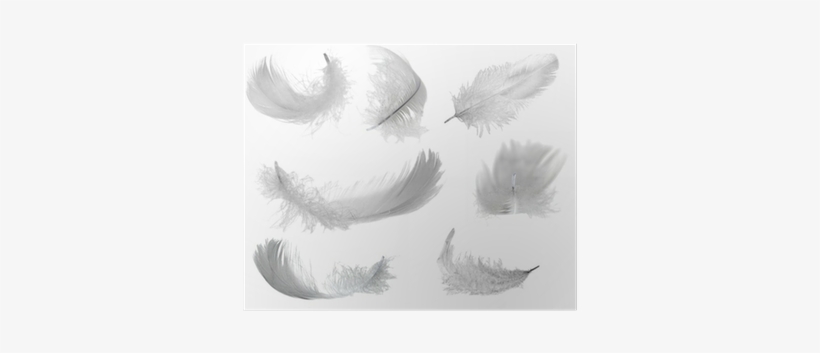 White Feathers, transparent png #1311391