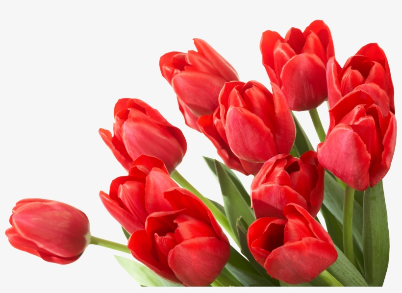 Bouquet Of Flowers Icon Clipart - Trenčín Castle, transparent png #1312611