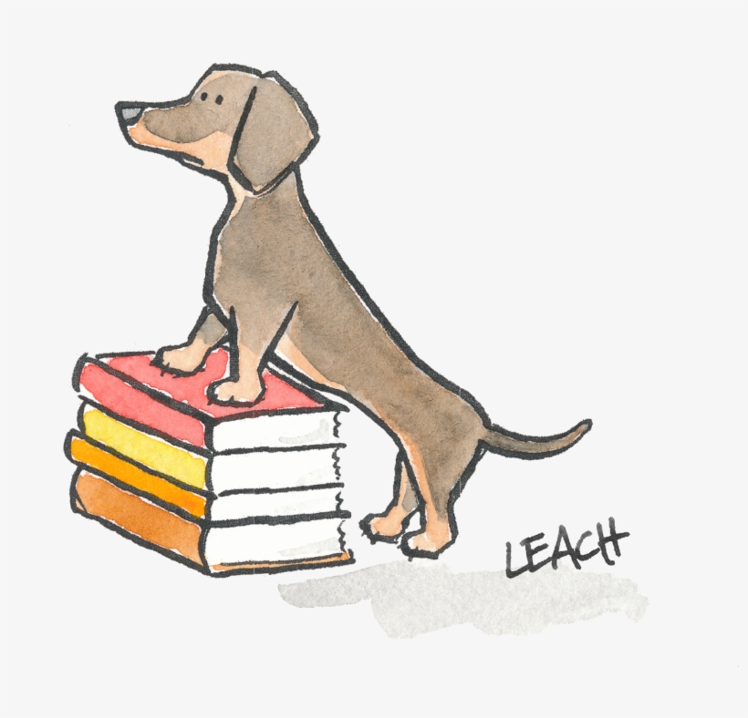 If You Haven't Tired Of Lists Yet, We Have One More - Weimaraner, transparent png #1313559