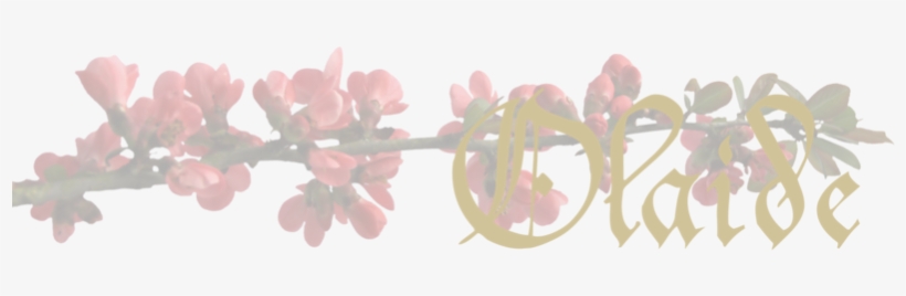 Titlebar Zpsqc7nmnhl - Portable Network Graphics, transparent png #1314059