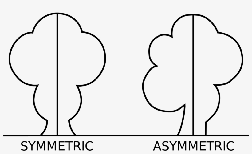 Asymmetric Drawing Geometry Line - Symmetrical And Asymmetrical Shapes, transparent png #1315990