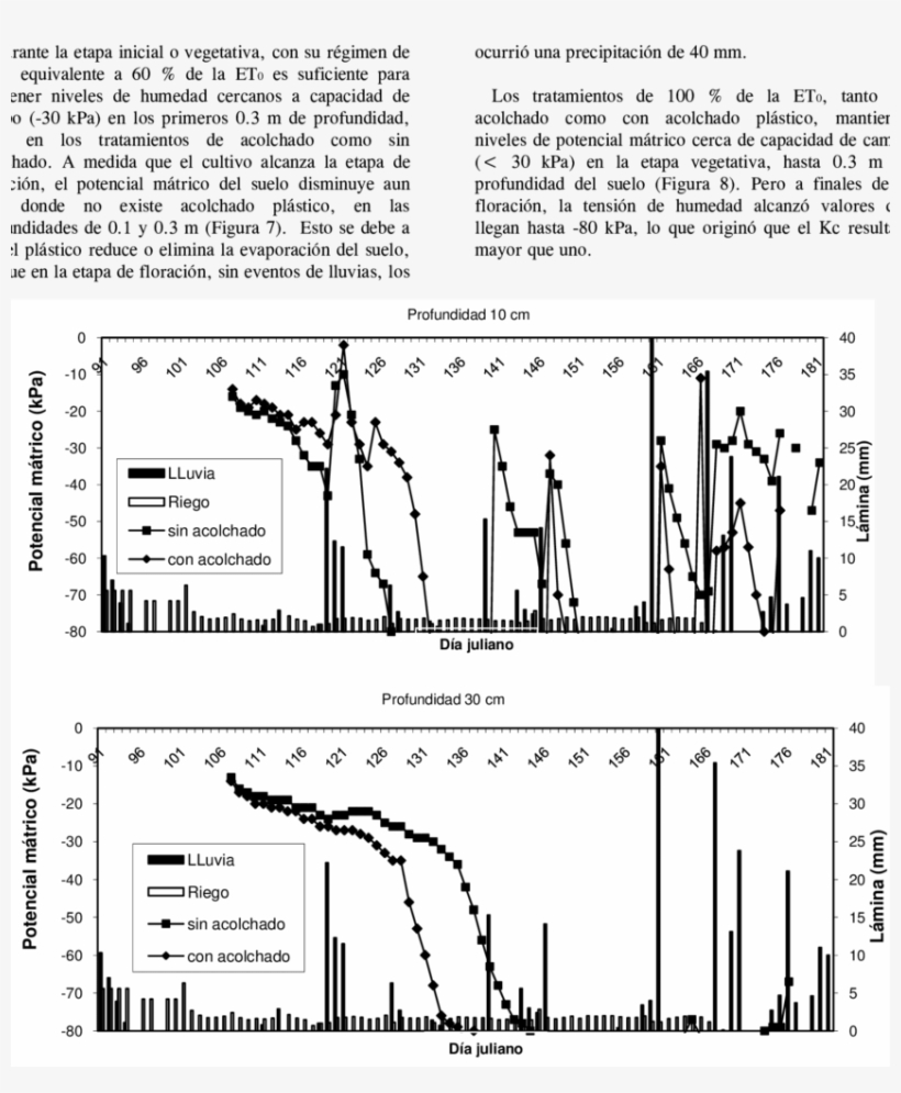 Efecto De La Lmina De Riego Y Lluvia En Los Tratamientos - Diagram, transparent png #1316999
