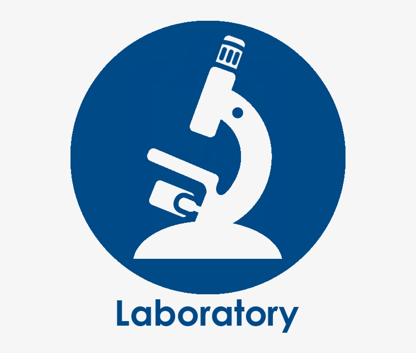 Services Clip Black And White - Laboratory Services Icon, transparent png #1318541