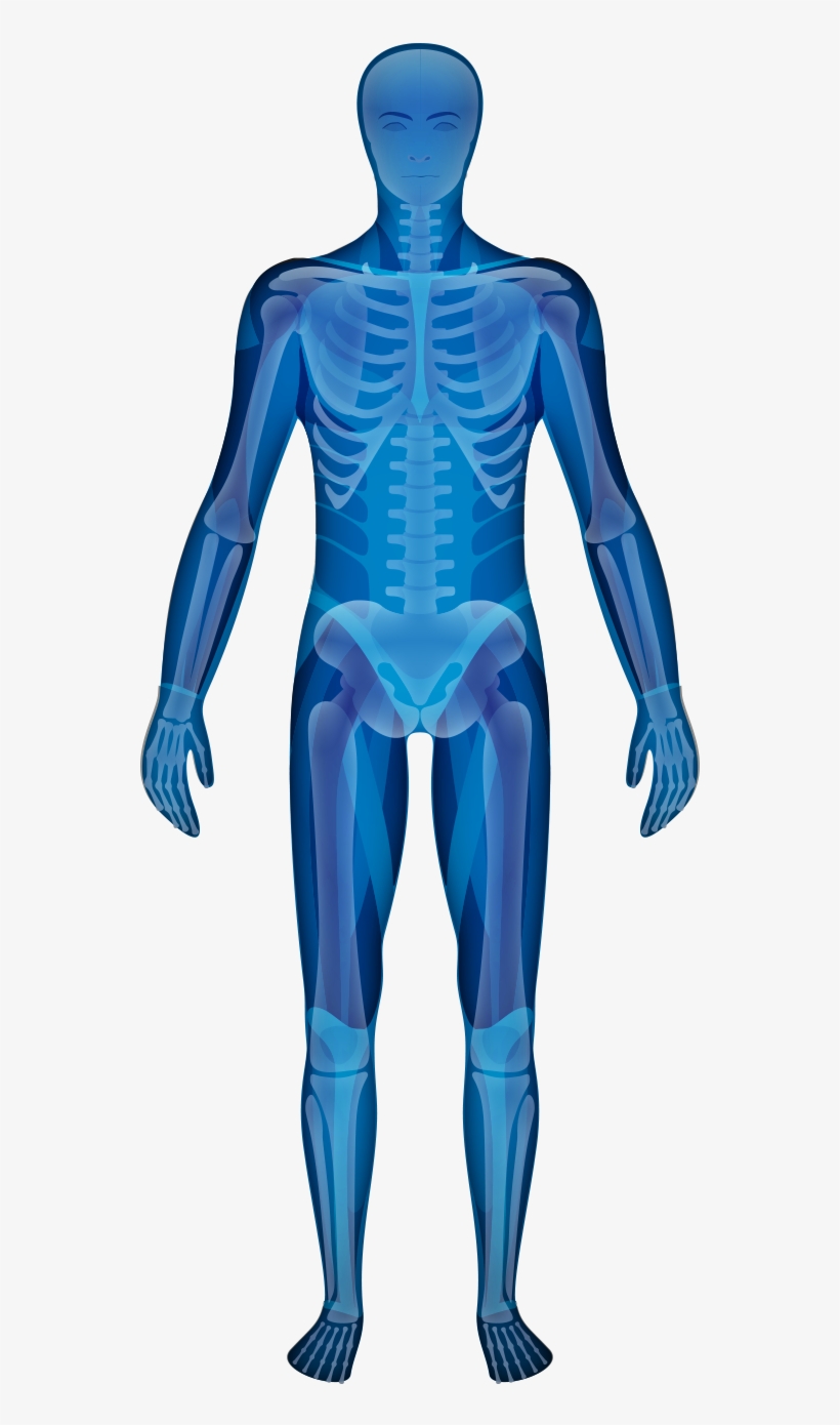 World-class Joint & Spine Care - Male, transparent png #1319619