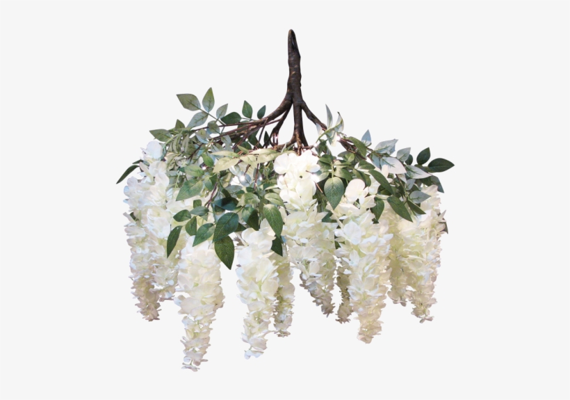 Wisteria White Hanging Branch 90cm - Wisteria, transparent png #1320482