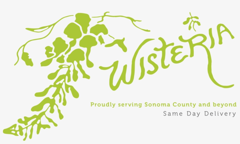 Santa Rosa, Ca Florist - Wisteria Flowers & Gifts, transparent png #1321563