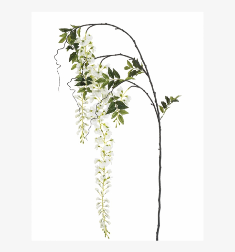 5" Japanese Wisteria Spray White - Silk Plants Direct Japanese Wisteria Spray - White, transparent png #1321643