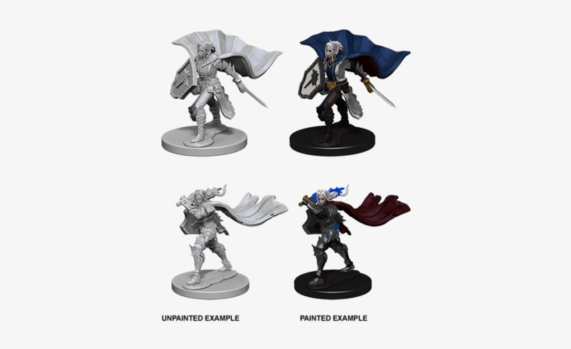 Pf Elf Female Paladin - Deep Cuts Elf Female Paladin, transparent png #1323381