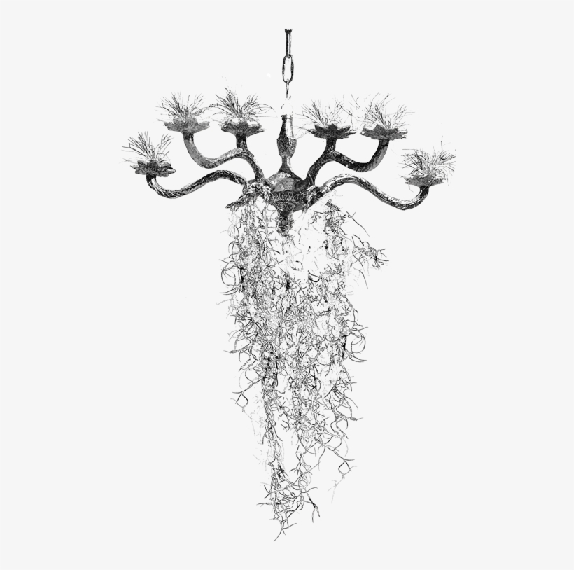 Chandeliers Png, transparent png #1324829