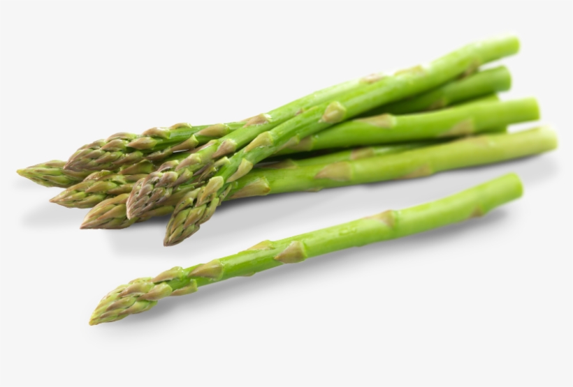 Asparagus Png Photos - Asparagus Png, transparent png #1325835