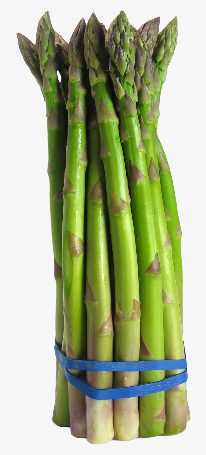 Download Asparagus Png Image - Asparagus Png, transparent png #1325901