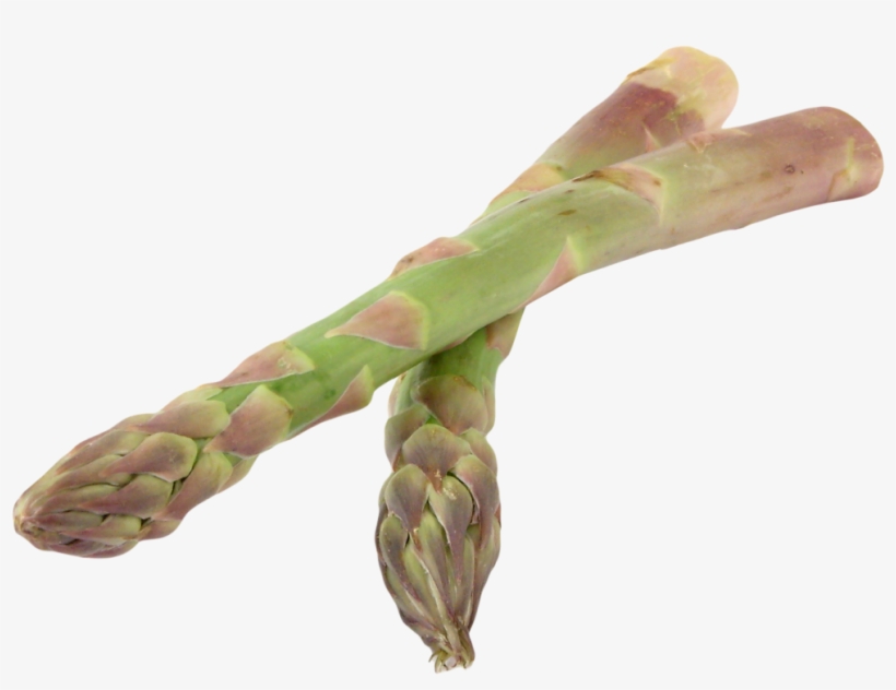 Asparagus Png Image1 - Garden Asparagus, transparent png #1325941