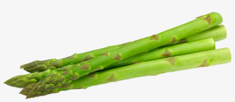 Asparagus Vegetable U Dd - 【au限定】長崎県産他 アスパラガス L束約4本~5本 約100g X10 02887036, transparent png #1325962