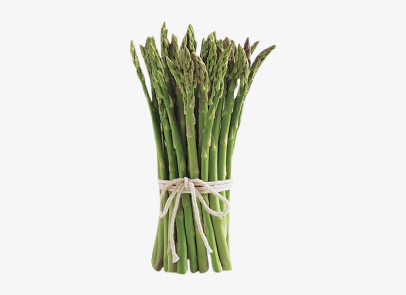 Asparagus - Mobile App, transparent png #1325984