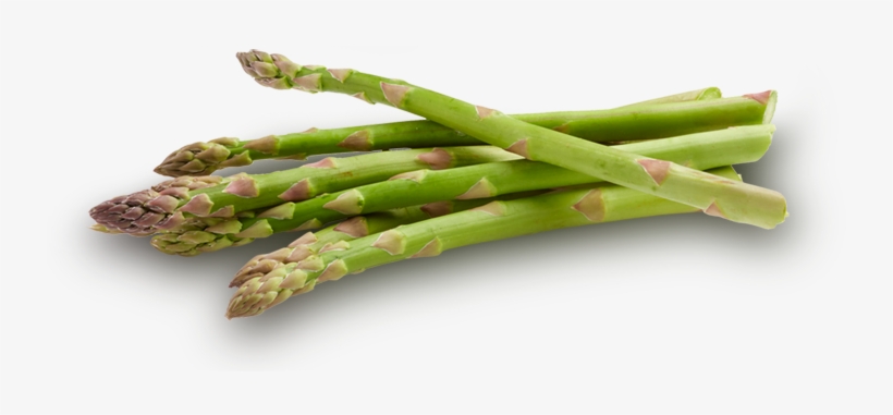 Asparagus Transparent, transparent png #1326060