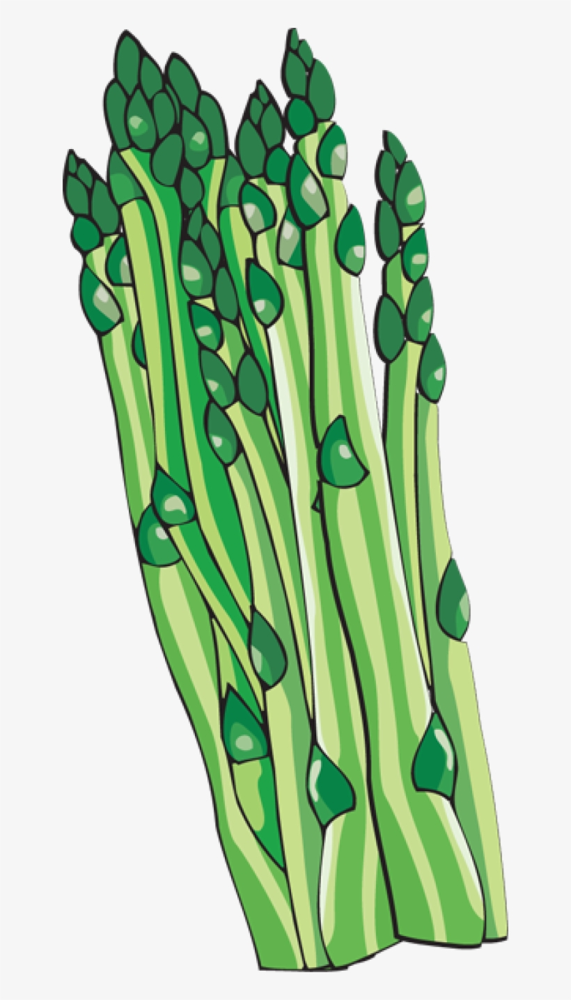 Asparagus Clip Art - Asparagus Clipart Png, transparent png #1326080