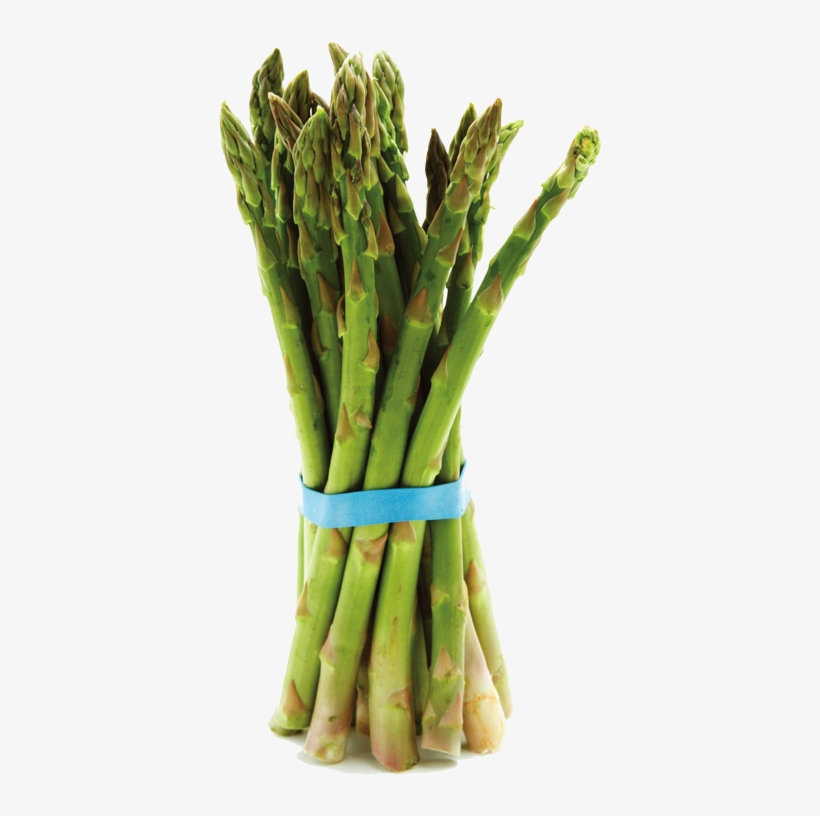 1252 Indian Rd, Creston Bc • 1 250 428 - Garden Asparagus, transparent png #1326099