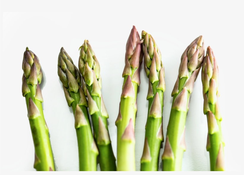 Asparagus Transparent 1 - Garden Asparagus, transparent png #1326214