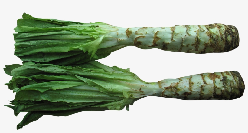 Celtuce Png, transparent png #1326290