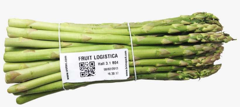 Verarbeitungssystem Spargel - Garden Asparagus, transparent png #1326552