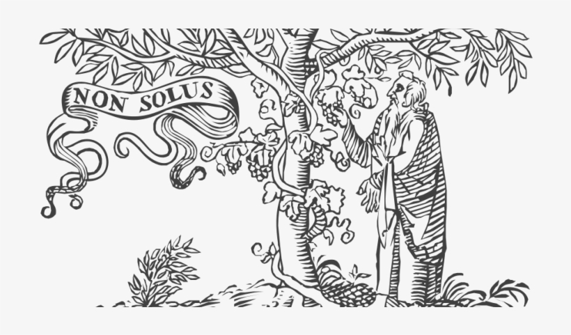 Academia In 3 Nations Boycotts Elsevier For High Journal - Vital Soil: Function, Value, And Properties [book], transparent png #1326718