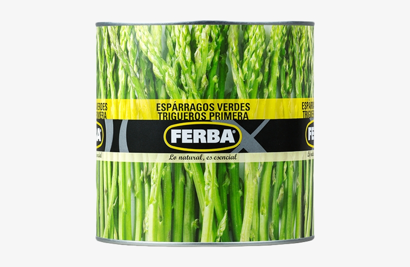 Asparagus - Garden Asparagus, transparent png #1326888