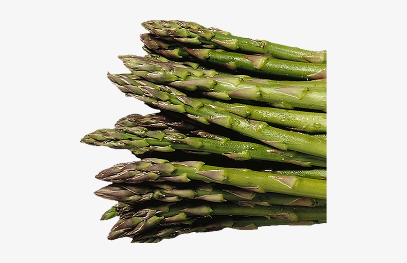 Artichoke, Whole Green Asparagus - Asparagus, transparent png #1327398