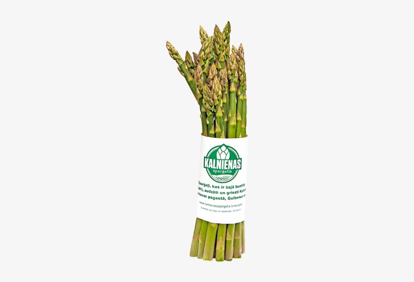Asparagus - Garden Asparagus, transparent png #1327497