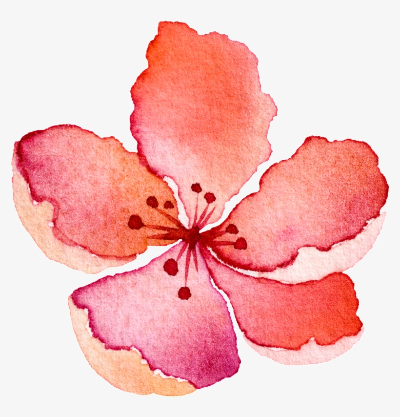 Water Saffron Transparent Decorative - Watercolor Painting, transparent png #1327617