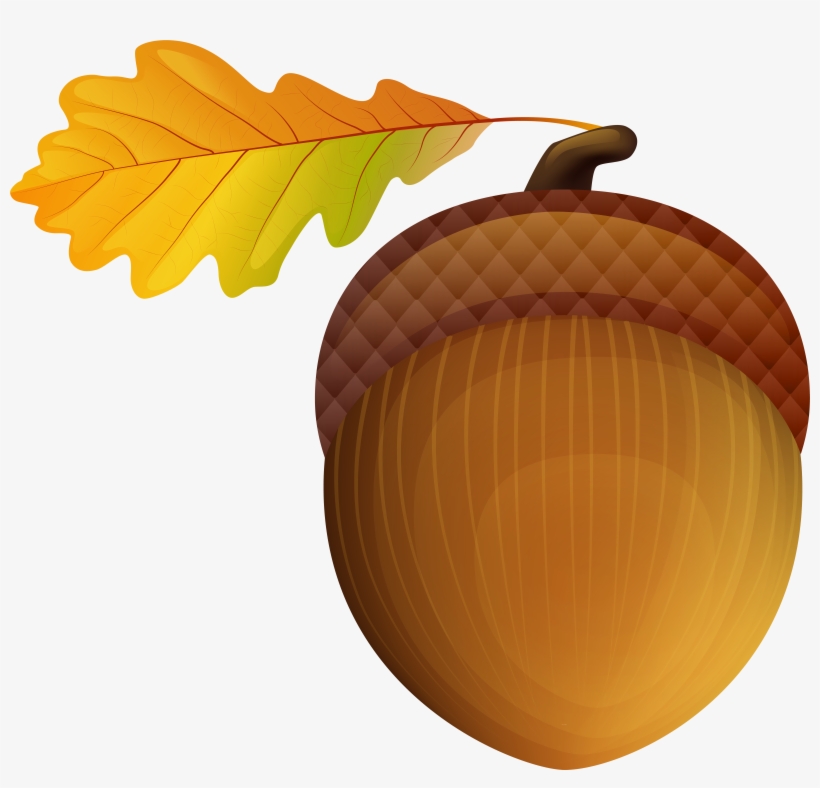 Acorn Png, transparent png #1327637