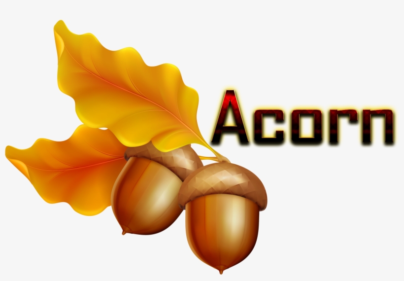 Acorn Png Hd - Transparent Background Acorn Clipart, transparent png #1328048