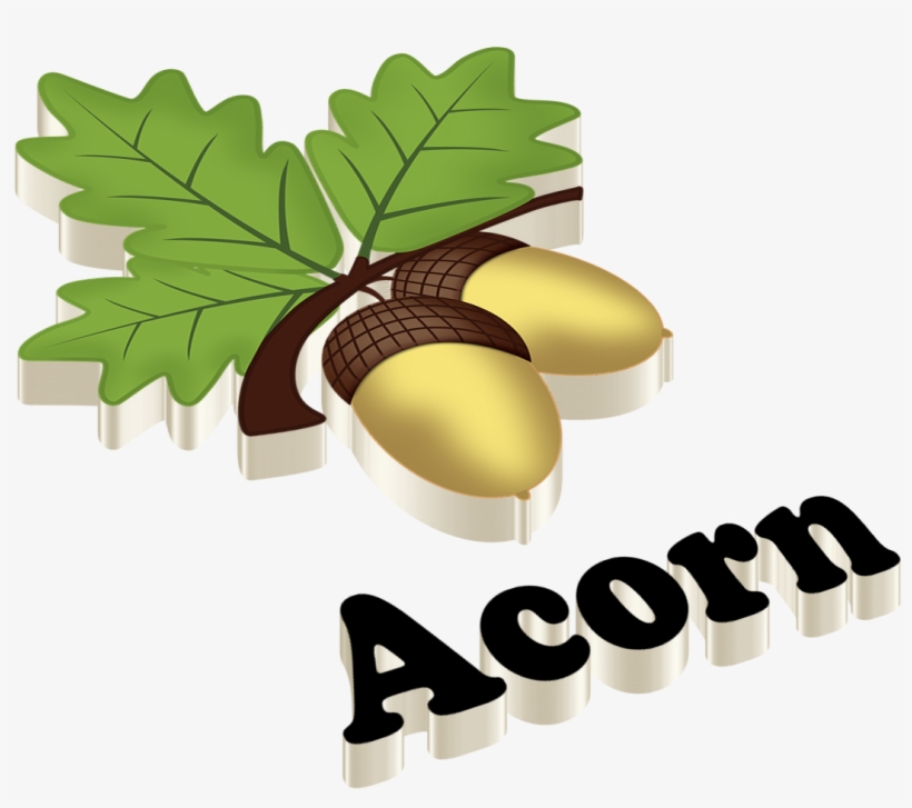 Acorn Png Dimension - Anu Name, transparent png #1328582