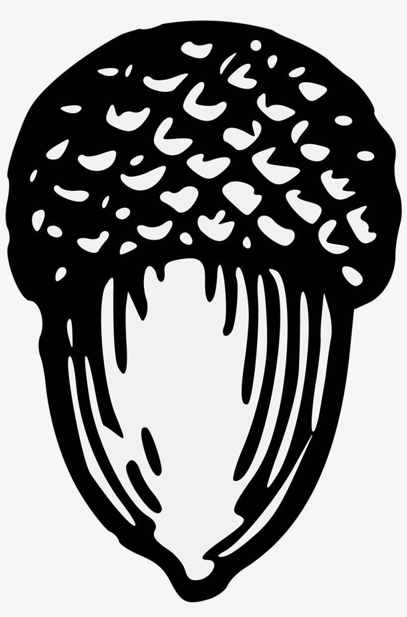 Acorn - Oak, transparent png #1328626