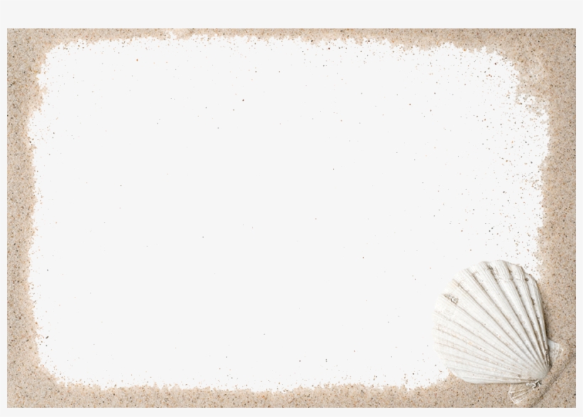 Go To Image - Shell, transparent png #1328803