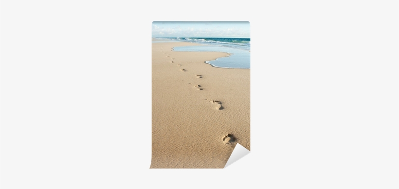 Human Footprints On The Beach Sand Wall Mural • Pixers® - Mourning Walk [book], transparent png #1329078