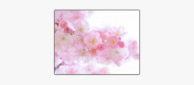 Beautiful Pink Japanese Cherry Tree Blossom Blanket - Cherry Blossom, transparent png #1329990