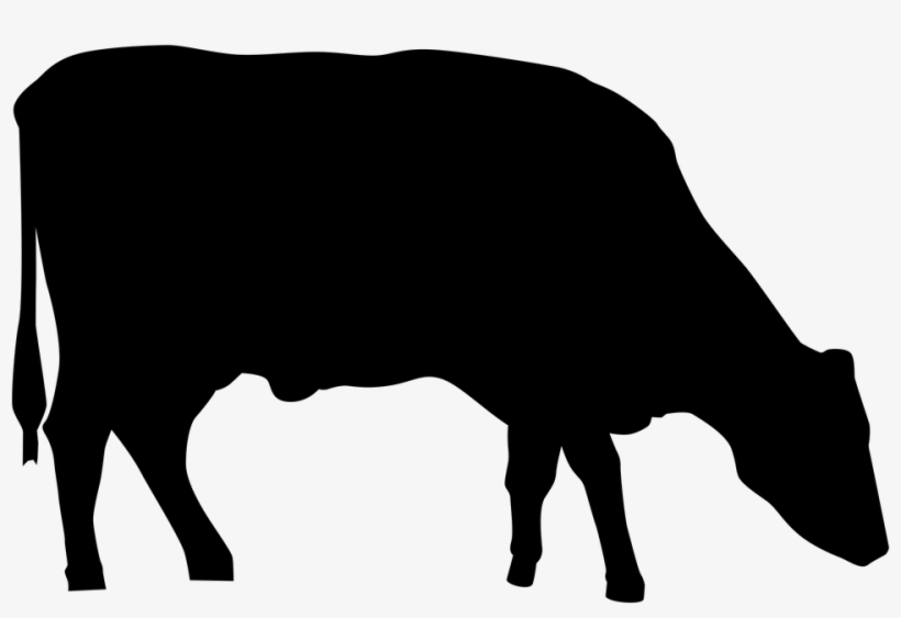 Silhouette, Cow, Animal, Farm, Symbol, Beef, Bull, - Cattle Silhouette Png, transparent png #1330856