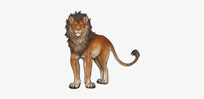 Shaggylionessday - Lioden Maned Lioness, transparent png #1331773