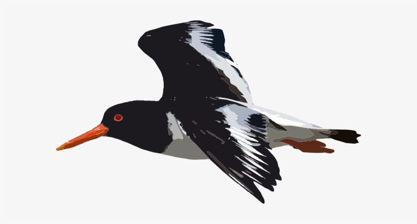 Black Bird Flying Svg Clip Arts 600 X 360 Px, transparent png #1332549