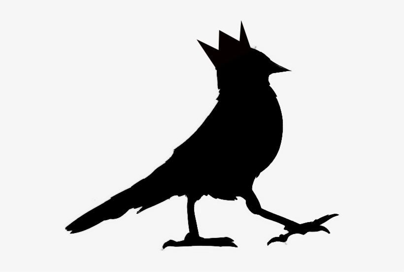 Home - Steller S Jay, transparent png #1332799