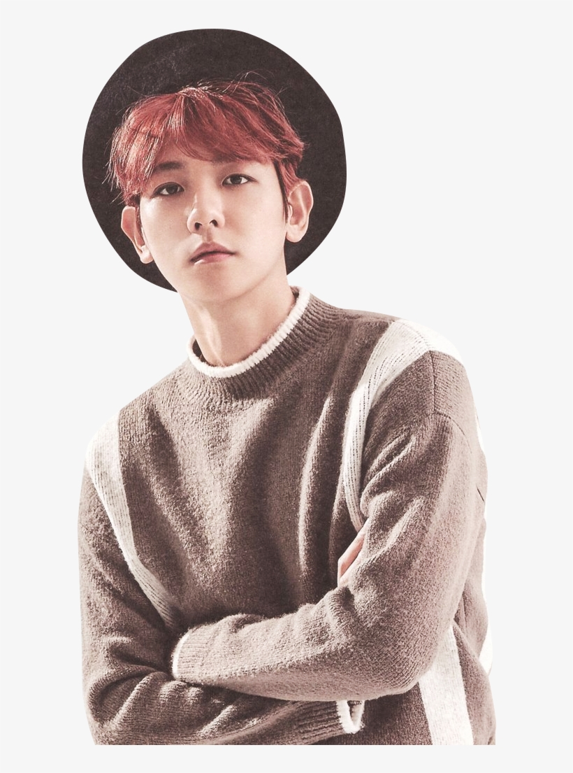 Exo Season's Greetings 2017 Baekhyun, transparent png #1333061