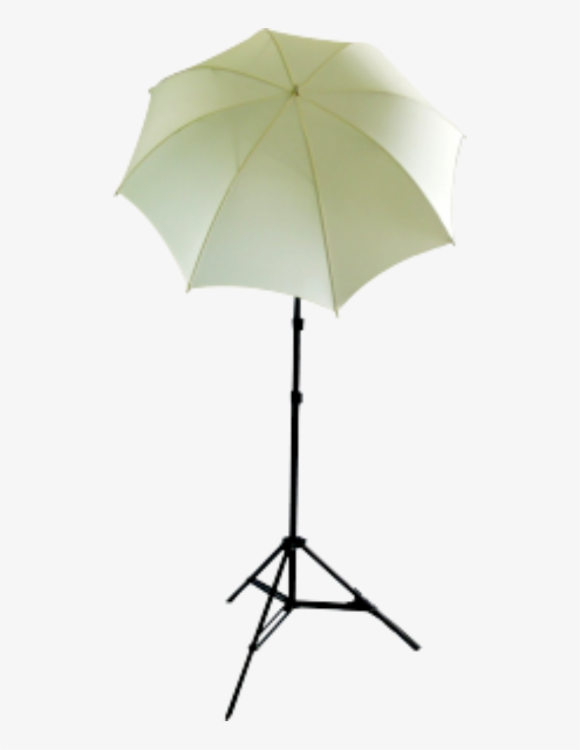 Cowboystudio Photo And Video Studio Umbrella Continuous, transparent png #1335841