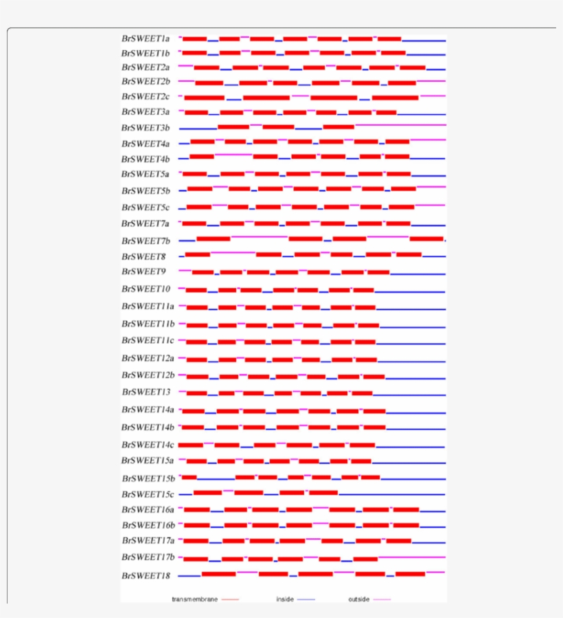 Protein Structure Of Mtn3/saliva/sweets In B - Mario Series, transparent png #1336468