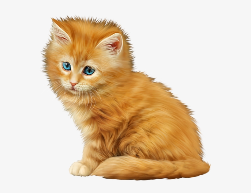 Share This Image - Cat, transparent png #1336726