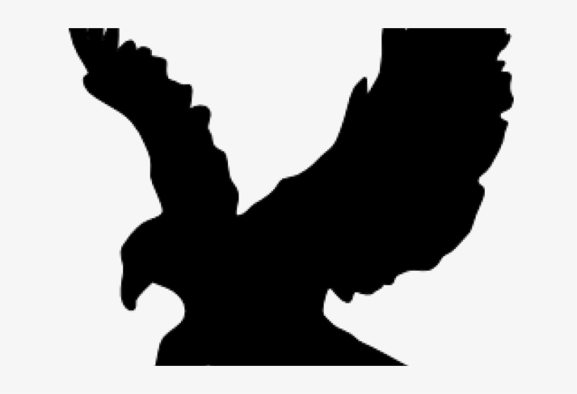 Eagle Clip Art, transparent png #1338292