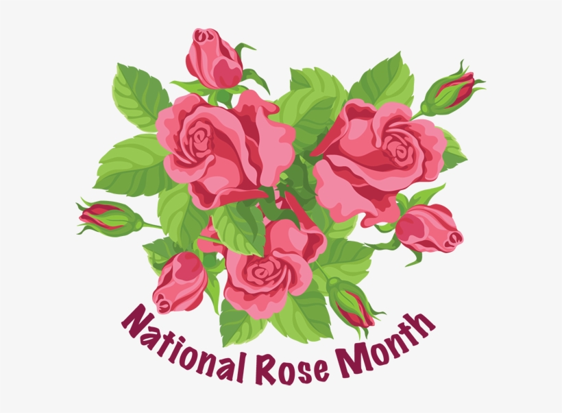 Non Surgical Nose Job Before, transparent png #1338413